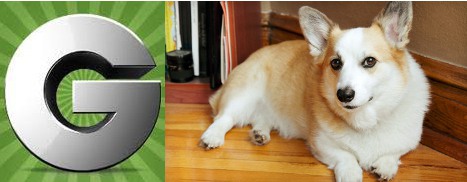 Groupon Pet Deal Seattle