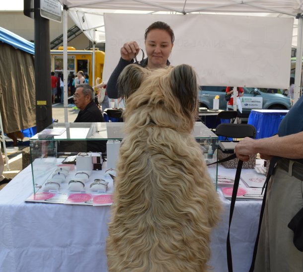 FidoFest Seattle Humane