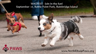 WagFest Seattle Dog Fundraising Event